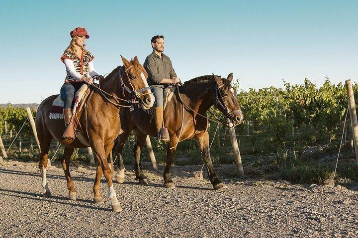 Horseback Riding with Gauchos and Native Empanadas in Mendoza