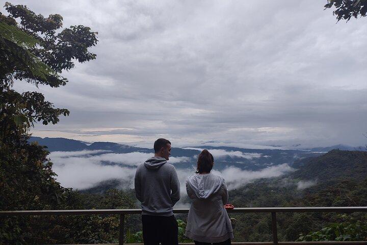 Mindo Cloud Forest privat tur: Fågelskådning, Fåglar & natur