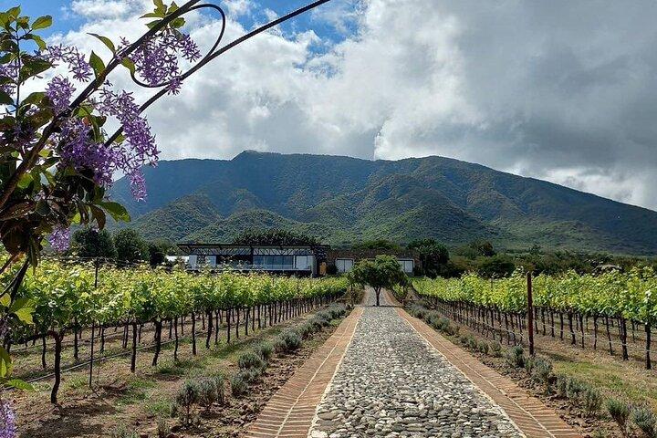 Volledige dagtour in de wijngaard Finca Estramancia met stop in Chapala