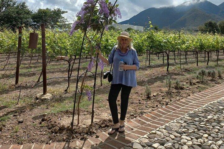 Volledige dagtour in de wijngaard Finca Estramancia met stop in Chapala