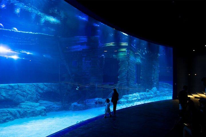 Entrada al Lotte World Aquarium Hanoi