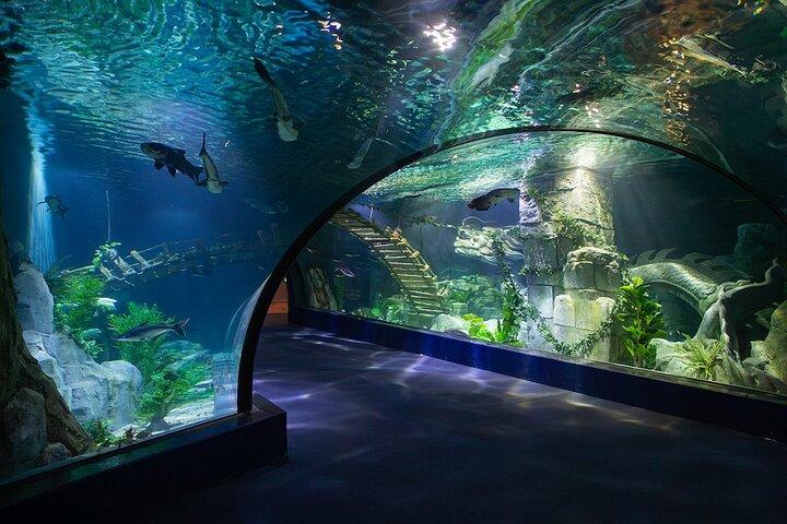 Entrada al Lotte World Aquarium Hanoi