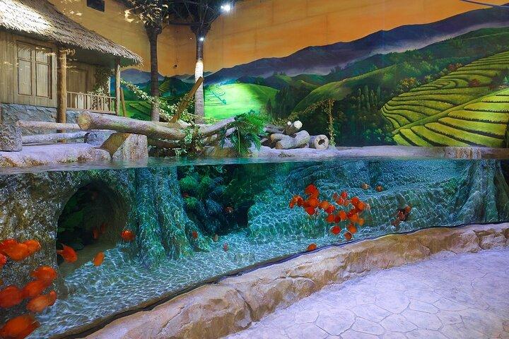 Entrada al Lotte World Aquarium Hanoi