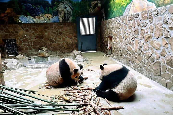 Privat 3-dages Xi'an-tur med byens højdepunkter