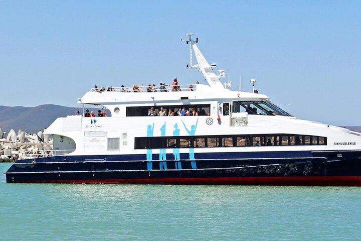 Robbeneiland Tour met Museum en Ferry Tickets