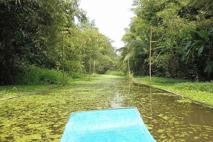 Passeio para amantes da natureza - Reserva Natural Lung Ngoc Hoang em Can Tho