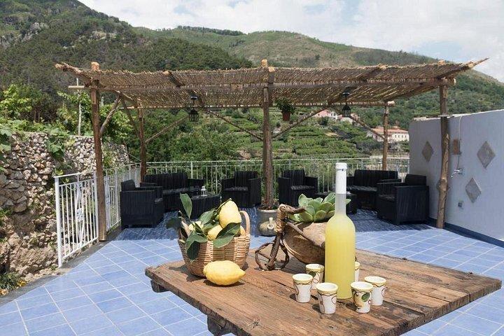 Lemon Experience with limoncello demonstration