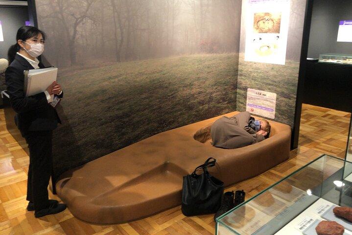 Half-day JOMON World Cultural Heritage Sites Tour in Aomori City