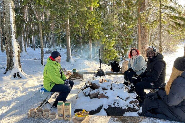Winterwunderland-Wanderung in einem Nationalpark