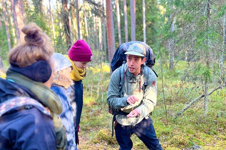 Caça ao cogumelo em um parque nacional