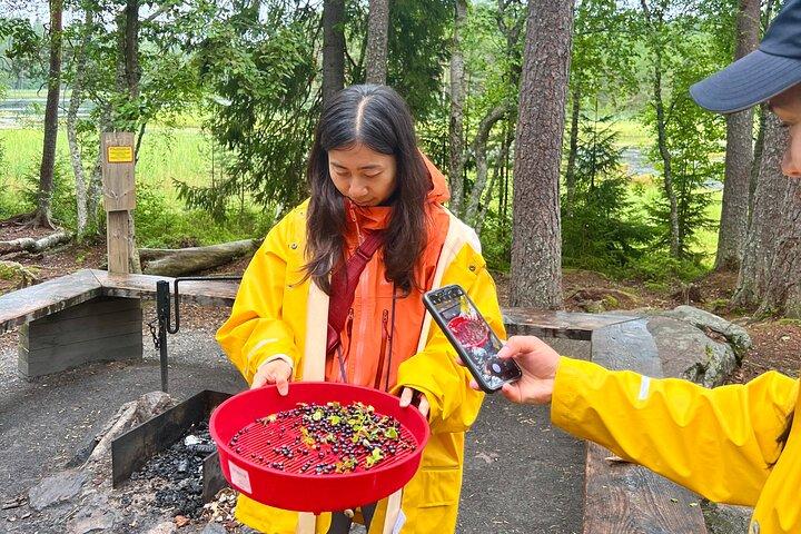 Berry Picking in a National Park