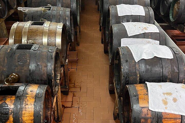 Parmesan, Wine, Balsamic Full Day Tour with Lunch