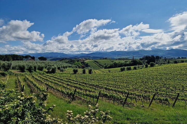 IL MAESTRO del Chianti Classico 3 Cantine Top Servizio Limousine
