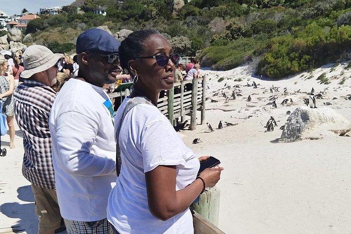 Cape Point, Boulders Beach Penguin Colony & Table Mountain Tour