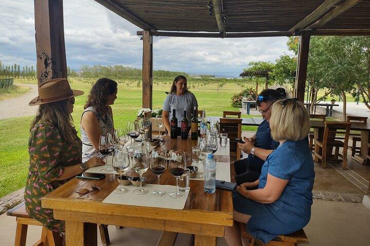 Experiencia guiada de cata de vinos de Luján con almuerzo