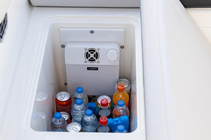 ロヴィニの日の出イルカと漁師の仕事を見るスピードボートツアー