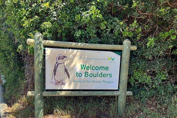 Expedição de um dia ao Cabo do Bem e à Colônia de Pinguins saindo da Cidade do Cabo