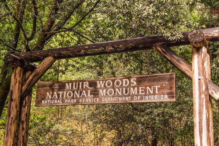 Tour privado de San Francisco, Golden Gate, Sausalito y Muir Woods