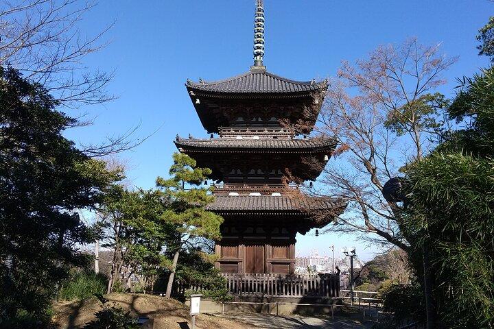 横浜丘陵エリアのガイド付き歴史と自然探検