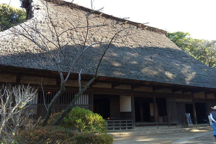 横浜丘陵エリアのガイド付き歴史と自然探検