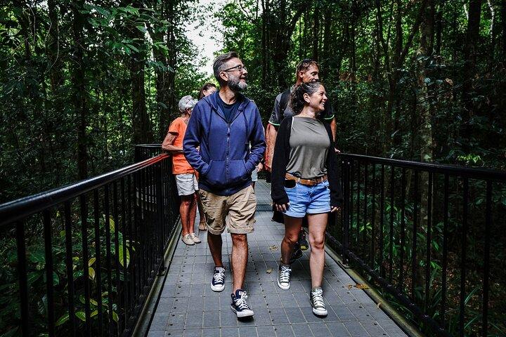 Port Douglas & Daintree Tour para passageiros de cruzeiro