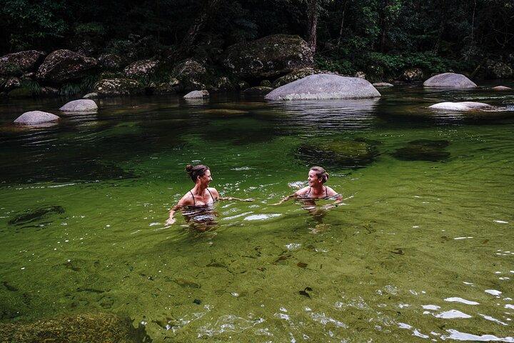 Port Douglas og Daintree Tour for krydstogtskib passagerer