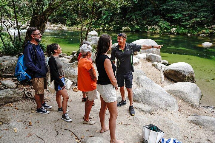 Port Douglas og Daintree Tour for krydstogtskib passagerer