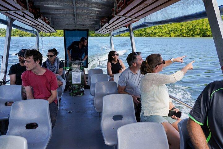 Morgendliche Daintree Tour mit Flusskreuzfahrt ab Port Douglas