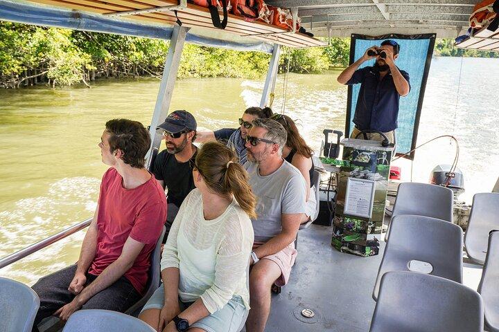 Port Douglas og Daintree Tour for krydstogtskib passagerer