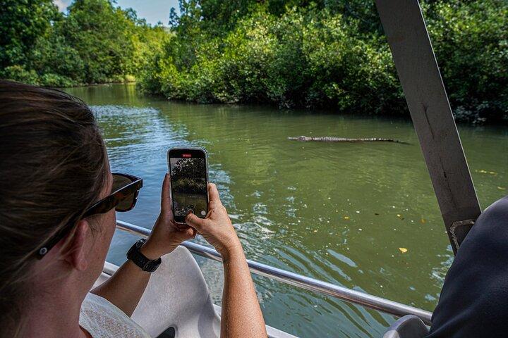 Morgendliche Daintree Tour mit Flusskreuzfahrt ab Port Douglas