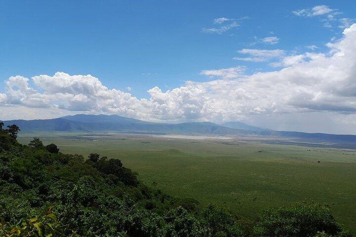 Tanzania y Zanzíbar 11 días de safari y retiro en las islas tropicales