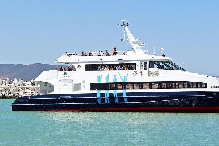Private Robben Island, Kirstenbosch and Wine Tasting Tour