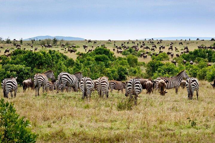 3 dagen en 2 nachten OlPejeta Safari vanuit Nairobi