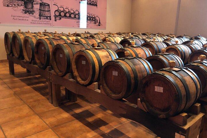 ワインの試飲付きマラソン湖とラザリディス ドメーヌ ツアー