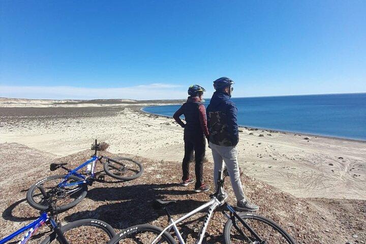 プエルト マドリンでマウンテン バイクとアシカ ウォッチング