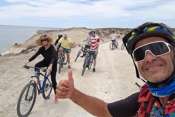 プエルト マドリンでマウンテン バイクとアシカ ウォッチング
