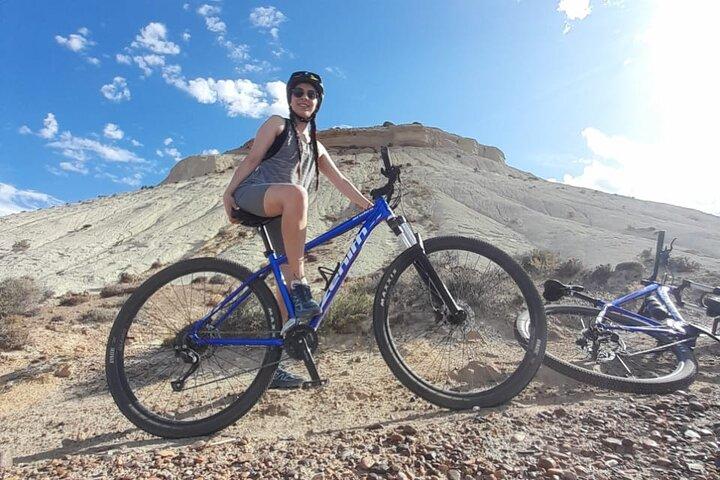 プエルト マドリンでマウンテン バイクとアシカ ウォッチング