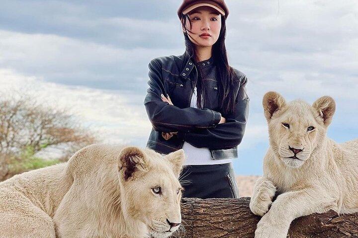 野生動物との遭遇(タンザニア、キリマンジャロ)