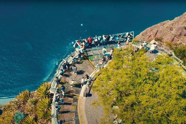 Wines Tasting Experience and Skywalk with Dolphin Watching