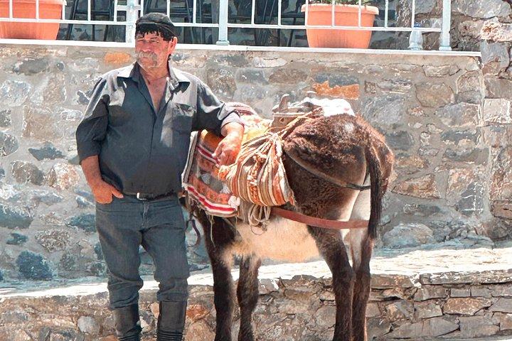 From Rethymno Private Day Tour Knossos-Lassithi Plateau