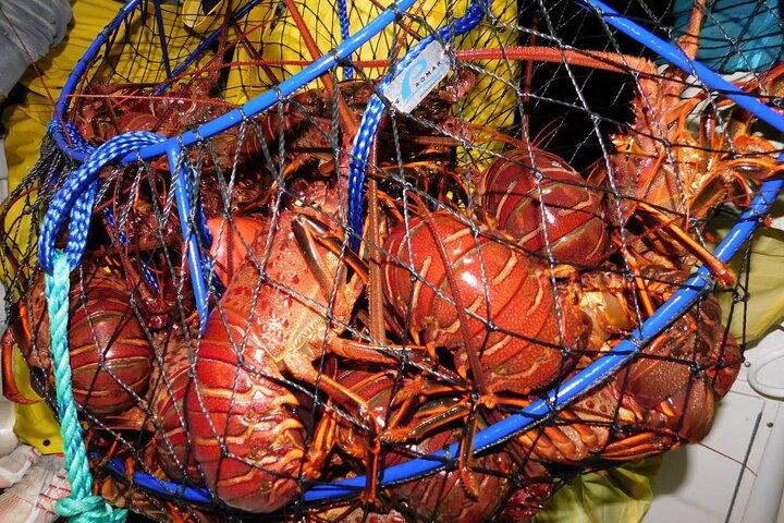Carta de red para aros de langosta de San Diego para hasta 6 personas