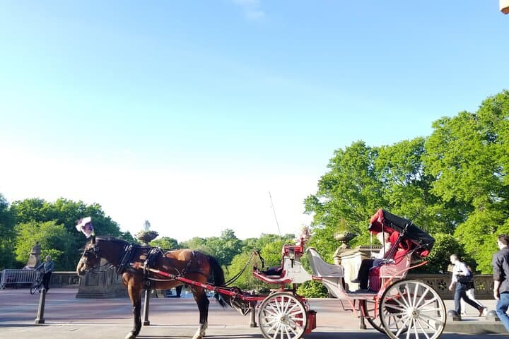 Full loop Private Horse Carriage Ride in Central Park 45 Minutes