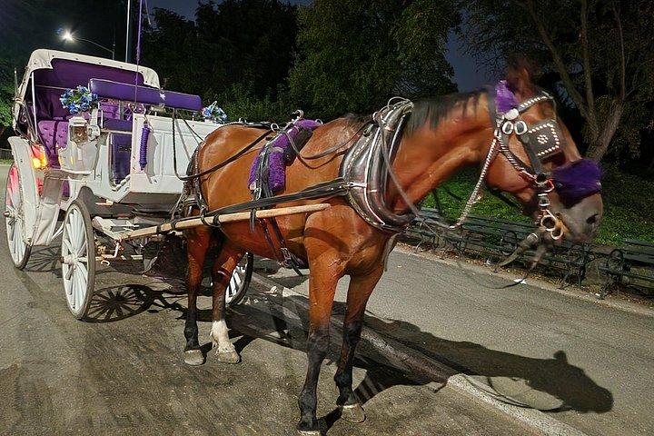 セントラル パークのプライベート馬車に乗って 45 分で一周