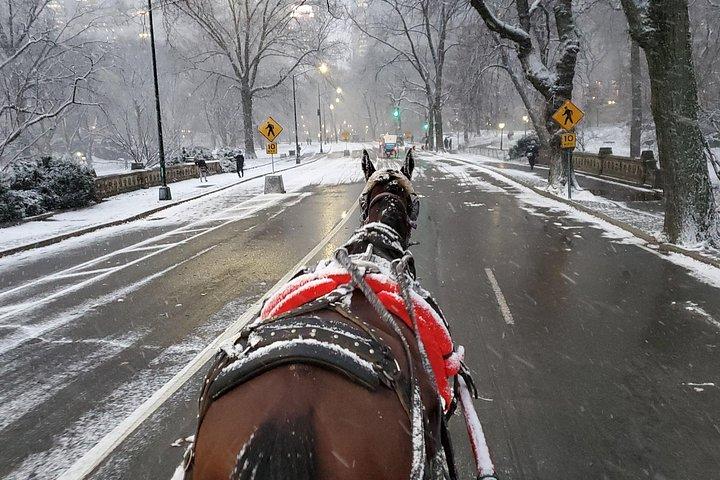 セントラル パークのプライベート馬車に乗って 45 分で一周