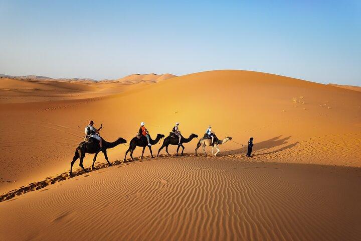 Fez naar Merzouga Desert Trip kameelrit en nachtkamp