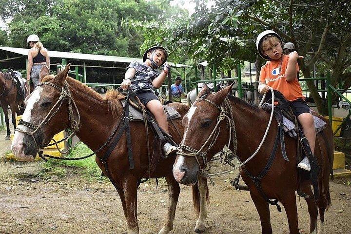 タマリン堂：プライベートジップライン、乗馬、温泉ツアー