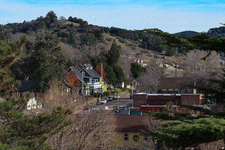 パイとツルハシ：カリフォルニア州ジュリアンの歴史散策ツアー