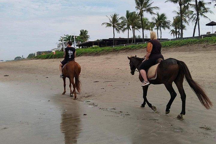 スミニャックビーチでのバリ乗馬とサーフィンのプライベートレッスン