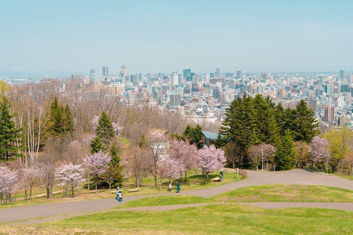 Sapporo: Individuelle private Tagestour