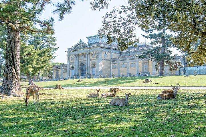 Nara Private anpassbare Ganztagestour